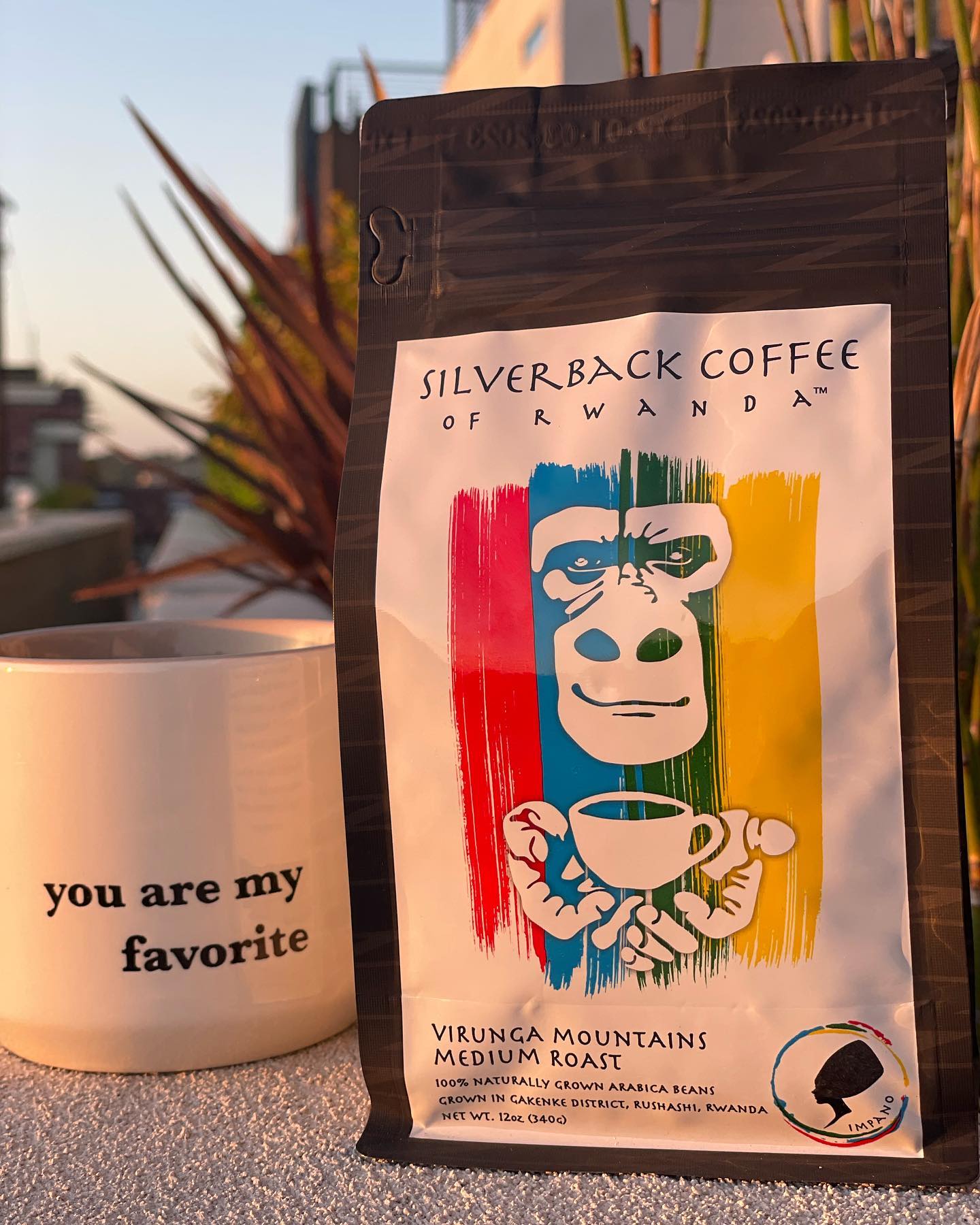 Silverback Coffee of Rwanda