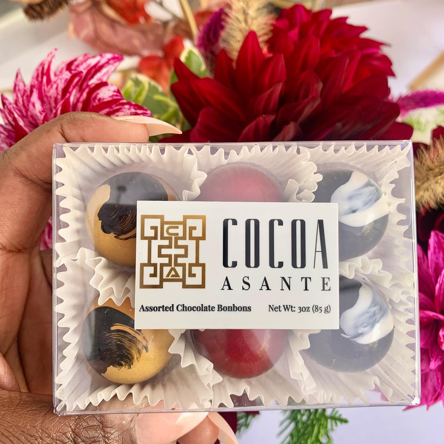 Cocoa Asante